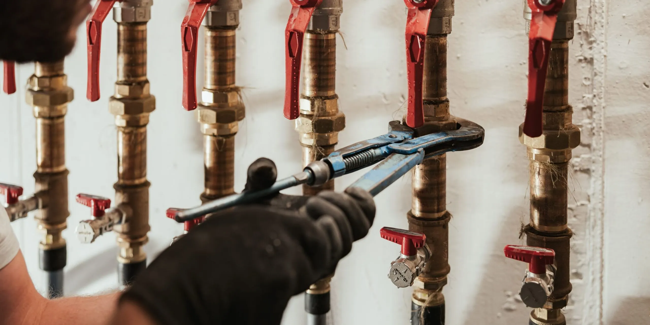 Alex Moling Termo Dapoz 51