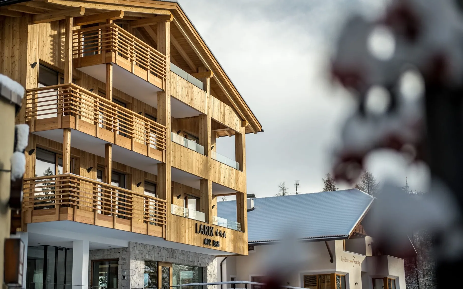 Molography it invernali 4